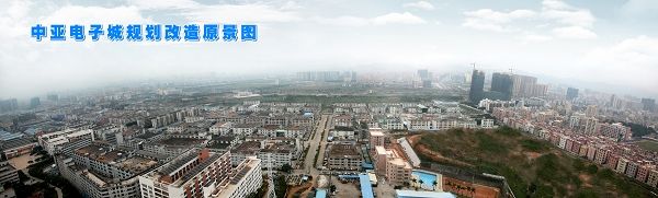 深圳市政協(xié)副主席廖軍文先生考察壆崗中亞博覽中心項(xiàng)目(圖18)